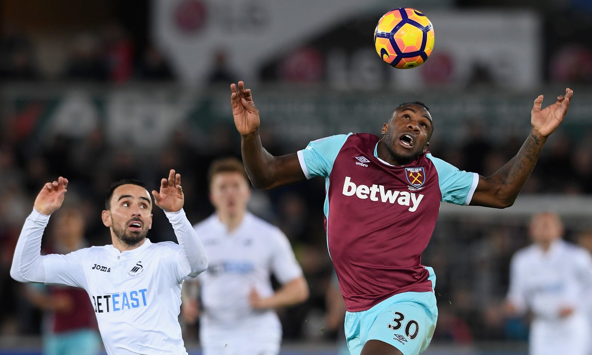 些难忘的动 些难忘的动