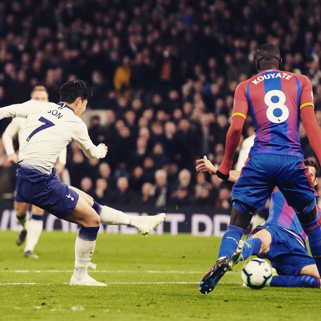 的努力和坚 的努力和坚